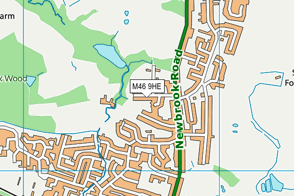 M46 9HE map - OS VectorMap District (Ordnance Survey)