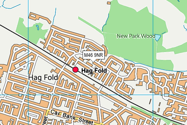 M46 9NR map - OS VectorMap District (Ordnance Survey)