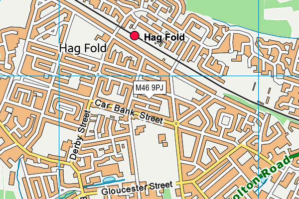 M46 9PJ map - OS VectorMap District (Ordnance Survey)