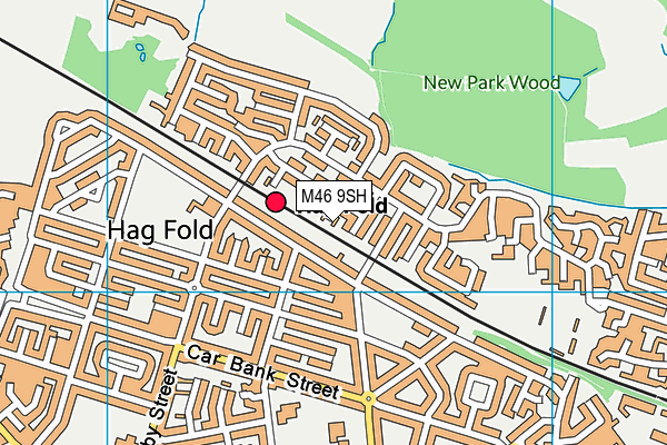 M46 9SH map - OS VectorMap District (Ordnance Survey)