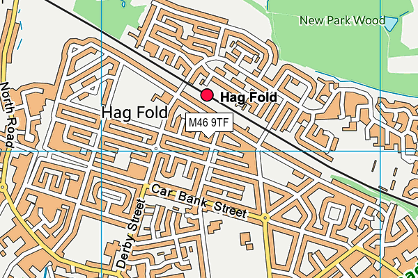 M46 9TF map - OS VectorMap District (Ordnance Survey)