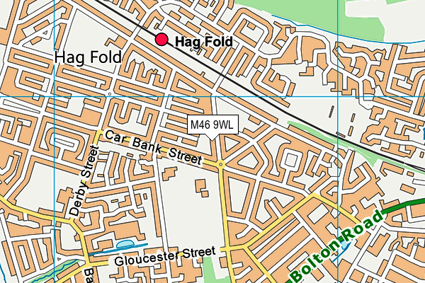 M46 9WL map - OS VectorMap District (Ordnance Survey)