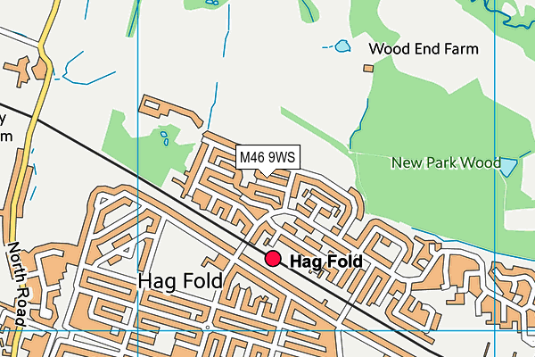 M46 9WS map - OS VectorMap District (Ordnance Survey)