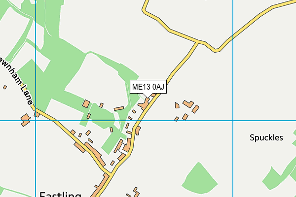 ME13 0AJ map - OS VectorMap District (Ordnance Survey)