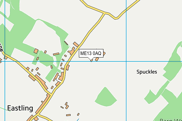 ME13 0AQ map - OS VectorMap District (Ordnance Survey)