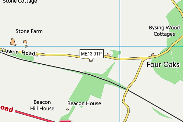 ME13 0TP map - OS VectorMap District (Ordnance Survey)