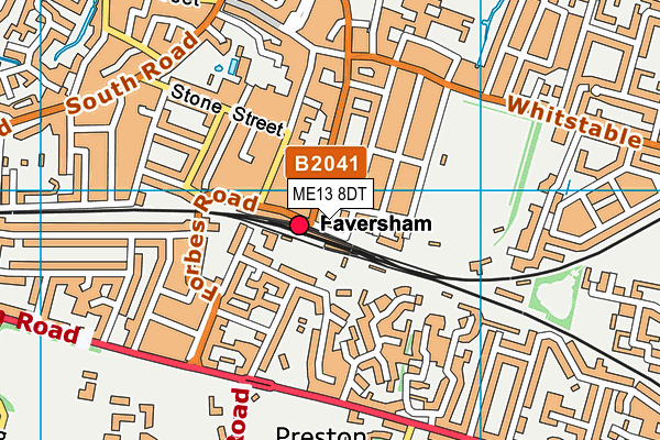 ME13 8DT map - OS VectorMap District (Ordnance Survey)