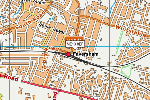 ME13 8EF map - OS VectorMap District (Ordnance Survey)