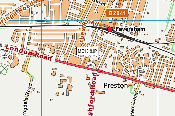 ME13 8JP map - OS VectorMap District (Ordnance Survey)