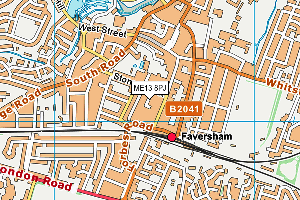 ME13 8PJ map - OS VectorMap District (Ordnance Survey)