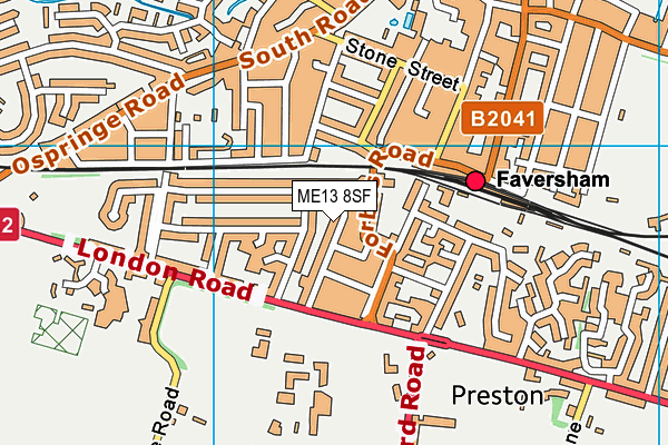 ME13 8SF map - OS VectorMap District (Ordnance Survey)