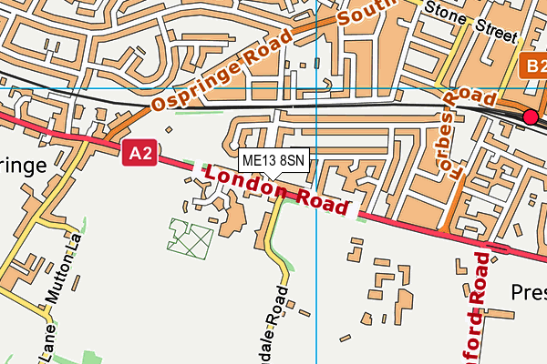 ME13 8SN map - OS VectorMap District (Ordnance Survey)