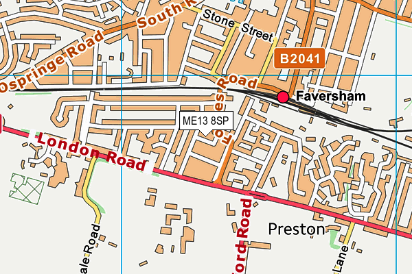 ME13 8SP map - OS VectorMap District (Ordnance Survey)