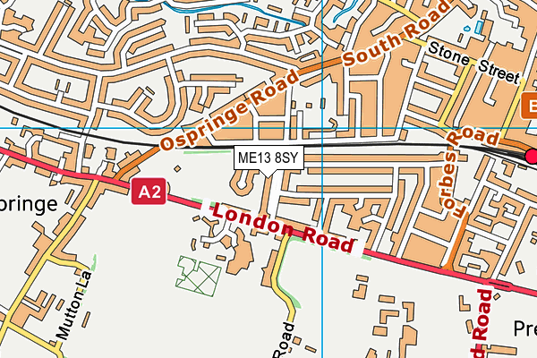 ME13 8SY map - OS VectorMap District (Ordnance Survey)