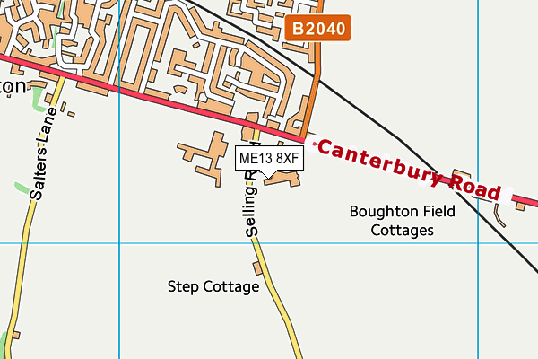 Faversham Cricket Club map (ME13 8XF) - OS VectorMap District (Ordnance Survey)