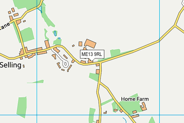 ME13 9RL map - OS VectorMap District (Ordnance Survey)