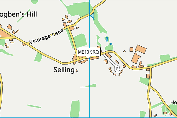 Selling Church of England Primary School map (ME13 9RQ) - OS VectorMap District (Ordnance Survey)