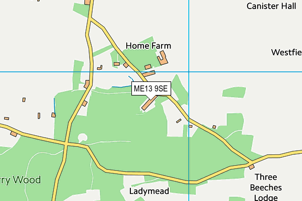 ME13 9SE map - OS VectorMap District (Ordnance Survey)