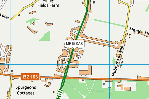 ME15 0AS map - OS VectorMap District (Ordnance Survey)
