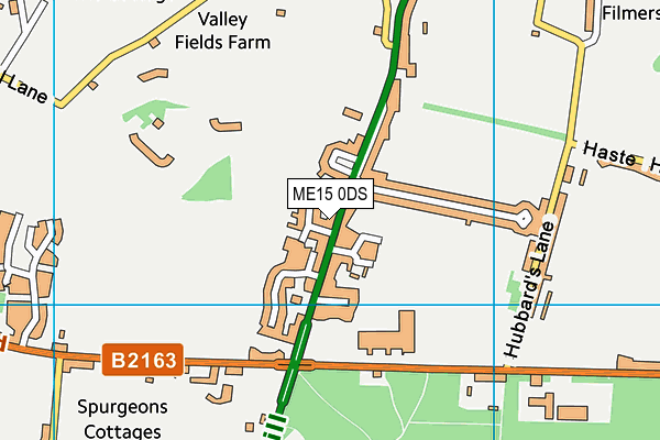 ME15 0DS map - OS VectorMap District (Ordnance Survey)