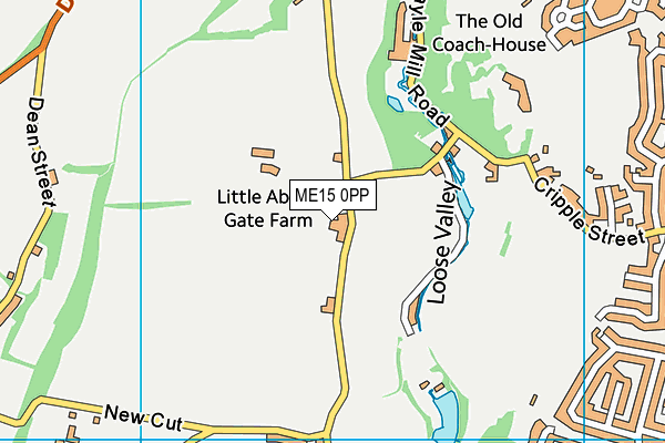 ME15 0PP map - OS VectorMap District (Ordnance Survey)