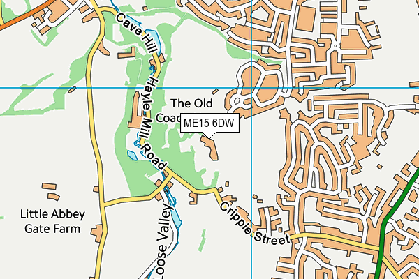 ME15 6DW map - OS VectorMap District (Ordnance Survey)