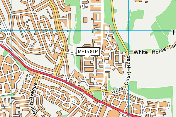 ME15 8TP map - OS VectorMap District (Ordnance Survey)