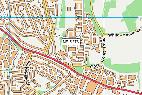 ME15 8TS map - OS VectorMap District (Ordnance Survey)