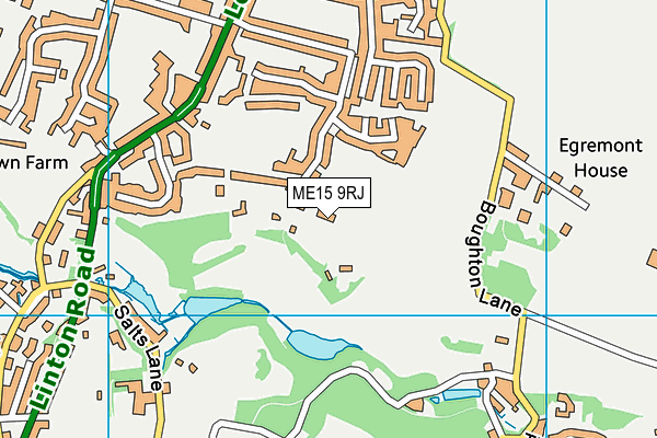 ME15 9RJ map - OS VectorMap District (Ordnance Survey)