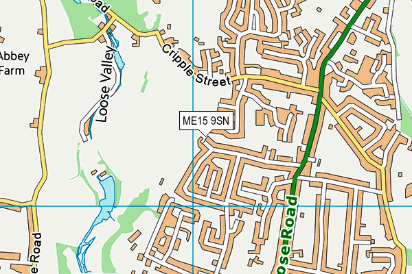 ME15 9SN map - OS VectorMap District (Ordnance Survey)