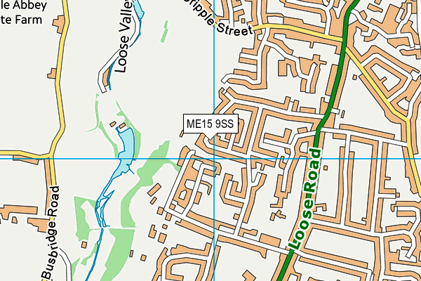 ME15 9SS map - OS VectorMap District (Ordnance Survey)