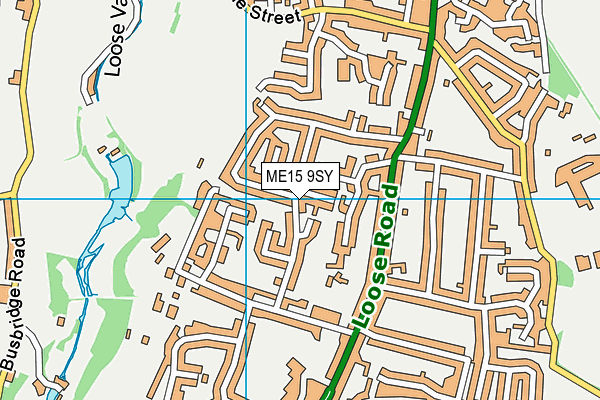 ME15 9SY map - OS VectorMap District (Ordnance Survey)