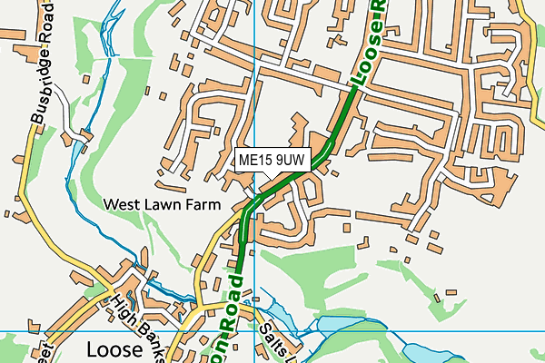 Loose Primary School map (ME15 9UW) - OS VectorMap District (Ordnance Survey)