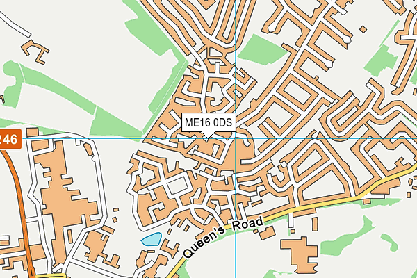 ME16 0DS map - OS VectorMap District (Ordnance Survey)