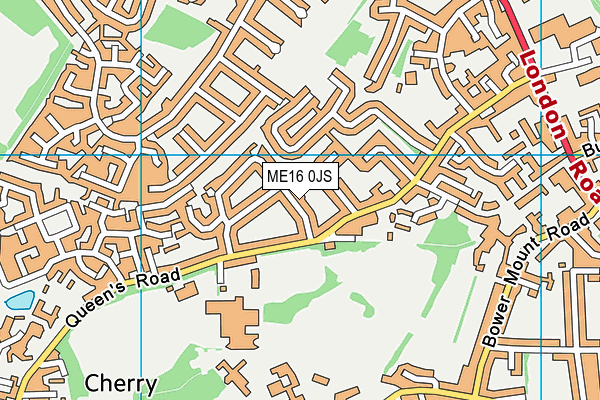 ME16 0JS map - OS VectorMap District (Ordnance Survey)