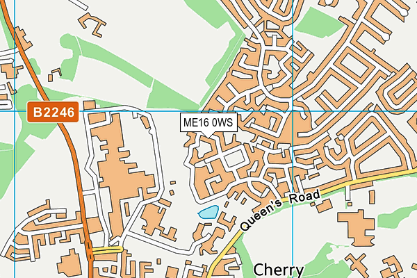 ME16 0WS map - OS VectorMap District (Ordnance Survey)