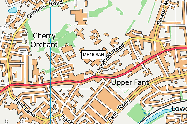 Oakwood Park Grammar School map (ME16 8AH) - OS VectorMap District (Ordnance Survey)