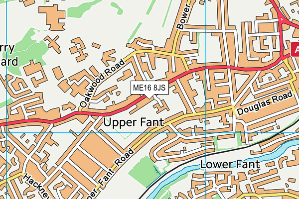 Clare Park map (ME16 8JS) - OS VectorMap District (Ordnance Survey)