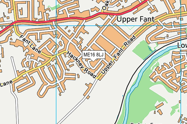 ME16 8LJ map - OS VectorMap District (Ordnance Survey)