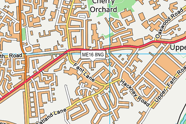 ME16 8NG map - OS VectorMap District (Ordnance Survey)