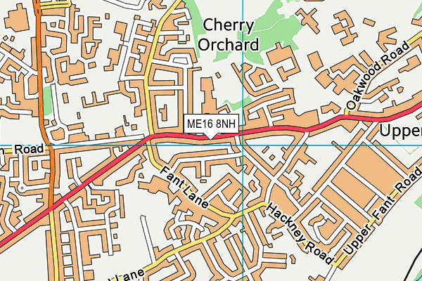 ME16 8NH map - OS VectorMap District (Ordnance Survey)