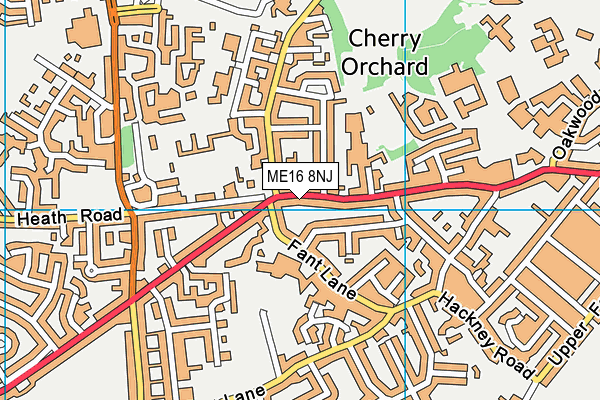 ME16 8NJ map - OS VectorMap District (Ordnance Survey)