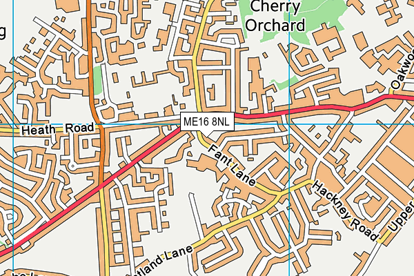 Bower Grove School map (ME16 8NL) - OS VectorMap District (Ordnance Survey)