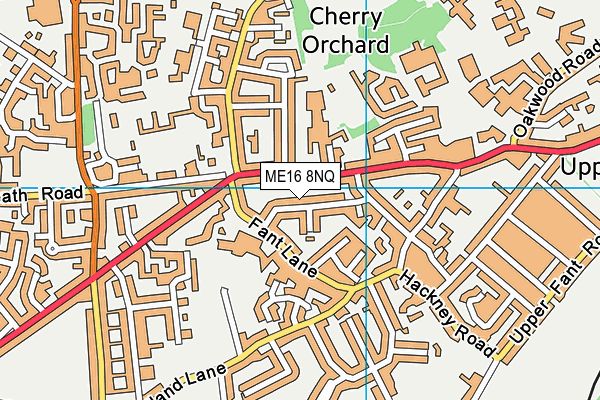 ME16 8NQ map - OS VectorMap District (Ordnance Survey)