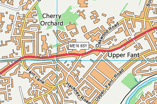 ME16 8SY map - OS VectorMap District (Ordnance Survey)