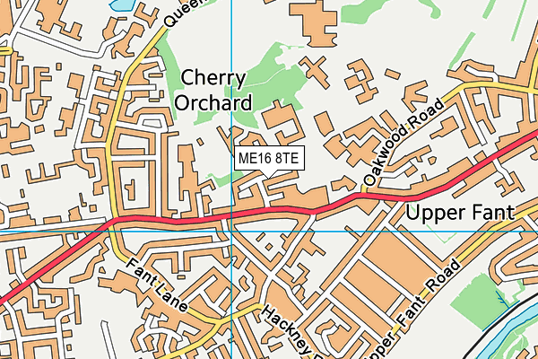 ME16 8TE map - OS VectorMap District (Ordnance Survey)