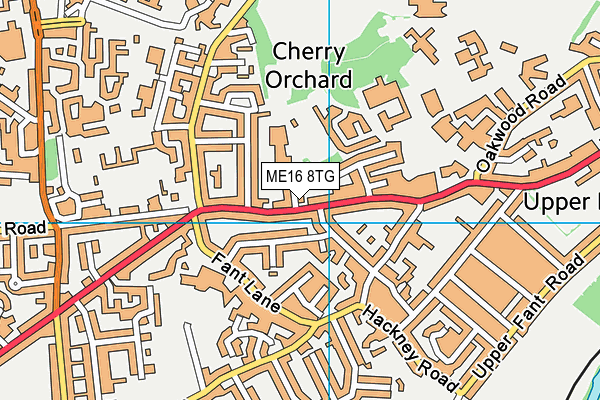 ME16 8TG map - OS VectorMap District (Ordnance Survey)