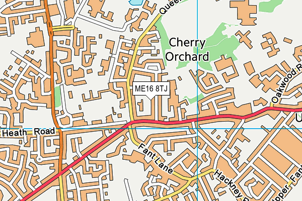 ME16 8TJ map - OS VectorMap District (Ordnance Survey)