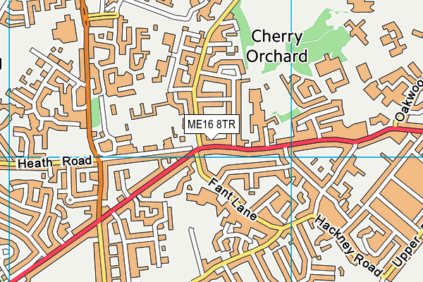 ME16 8TR map - OS VectorMap District (Ordnance Survey)