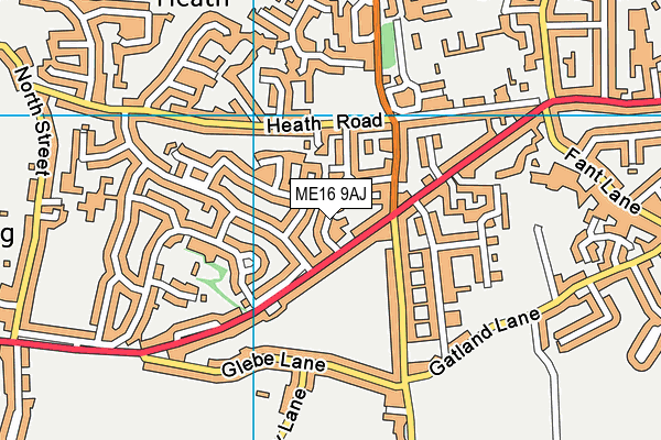 ME16 9AJ map - OS VectorMap District (Ordnance Survey)